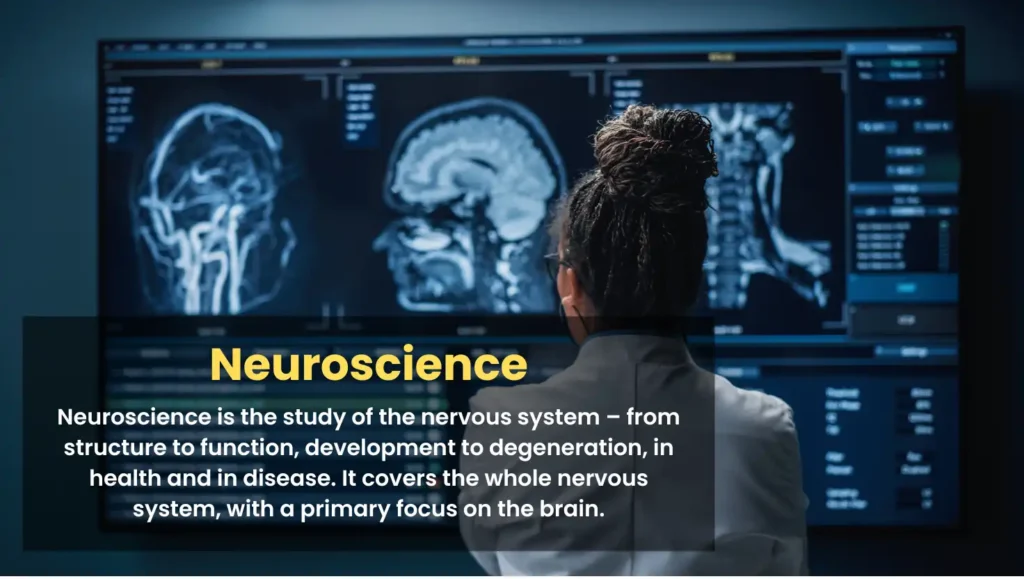 Neuroscience